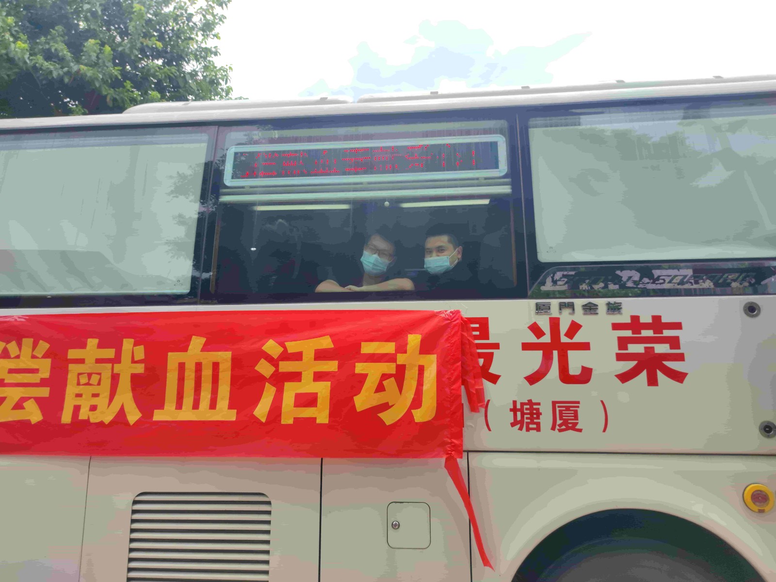 獻血活動 獻血活動