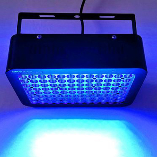 1638265295843407.jpg 14334.jpg